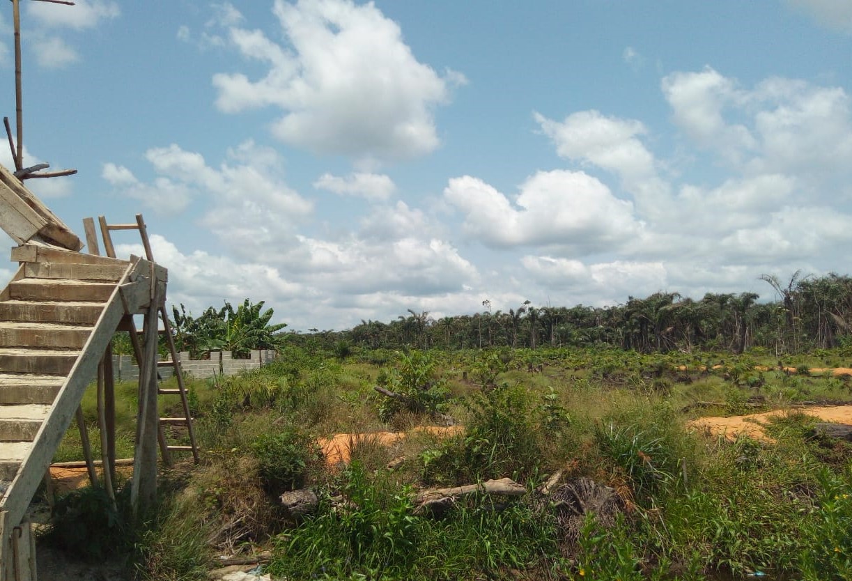 Land for sale in Igbodu Epe, Lagos State | Treasure Court